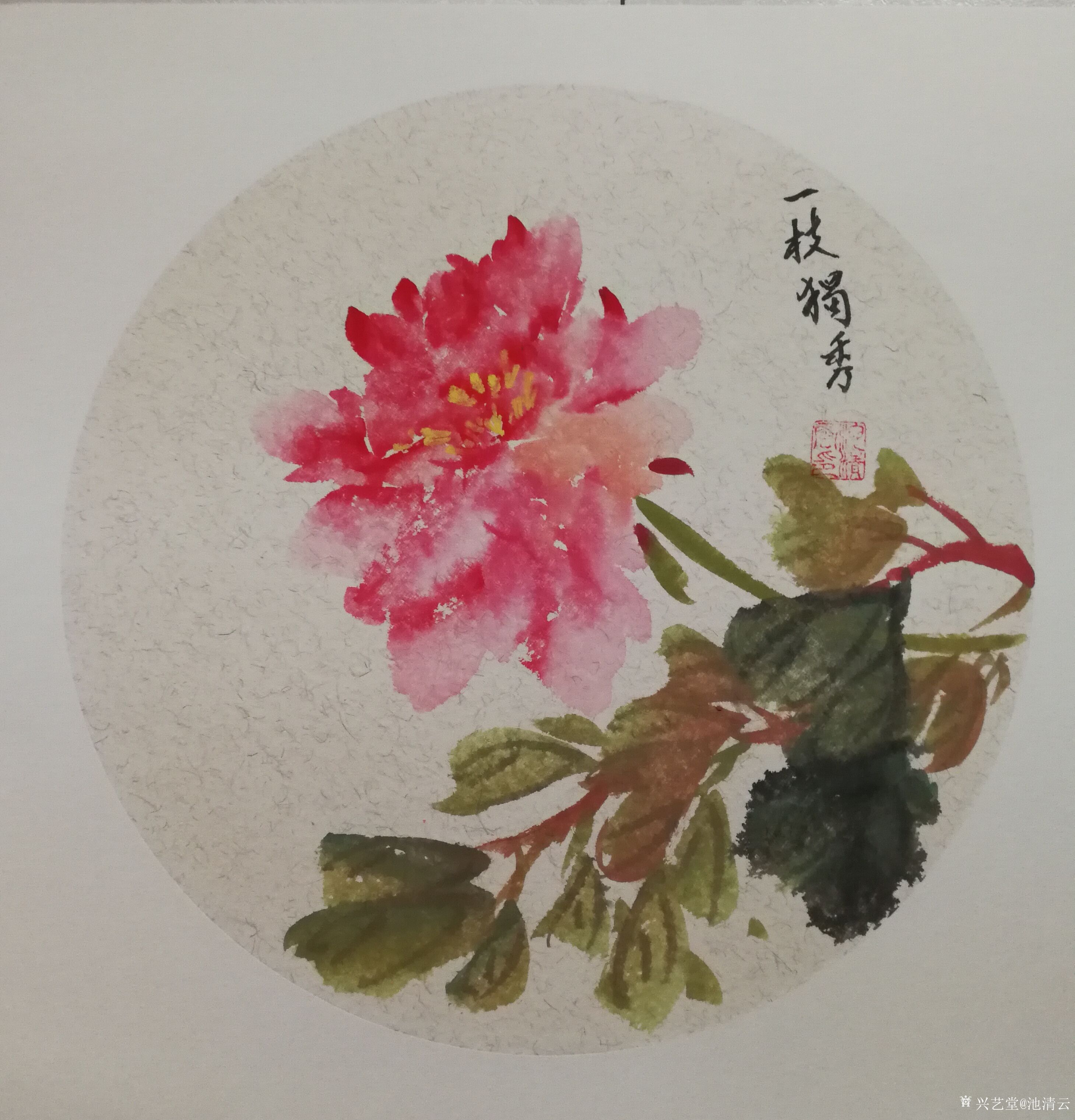 艺术家池清云日记:庭前芍药妖无格,池上芙蕖净少情.