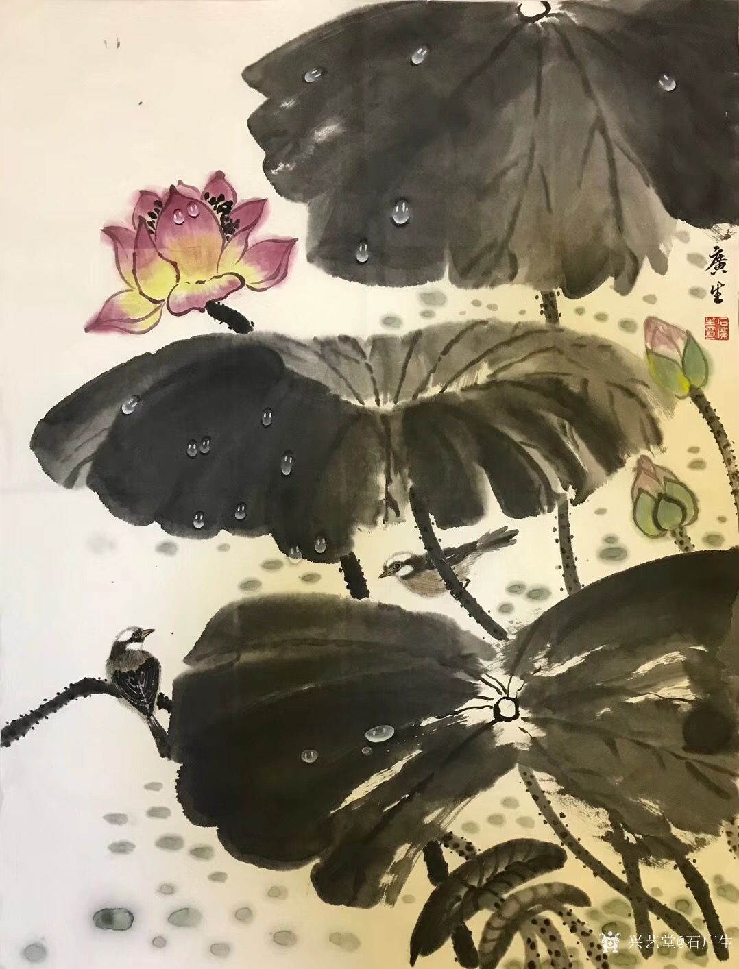 石广生日记-国画《雨后》在写意画中加入工笔的手法,也未尝不可
