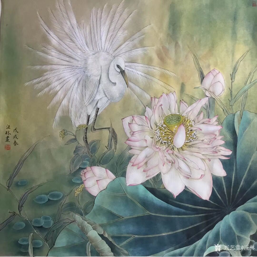 汪林日记:完成工笔花鸟画《荷花白鹭,尺寸60x60cm,请欣赏,欢迎_兴艺