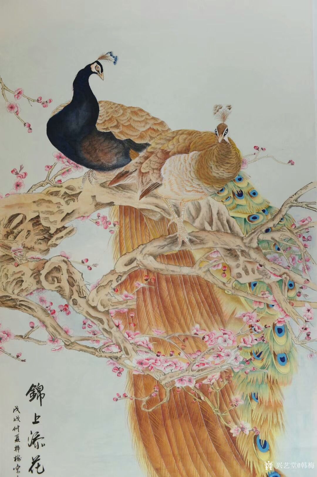 韩梅日记-四尺整张工笔花鸟画近作～孔雀系列作品《锦上添花》四幅,清