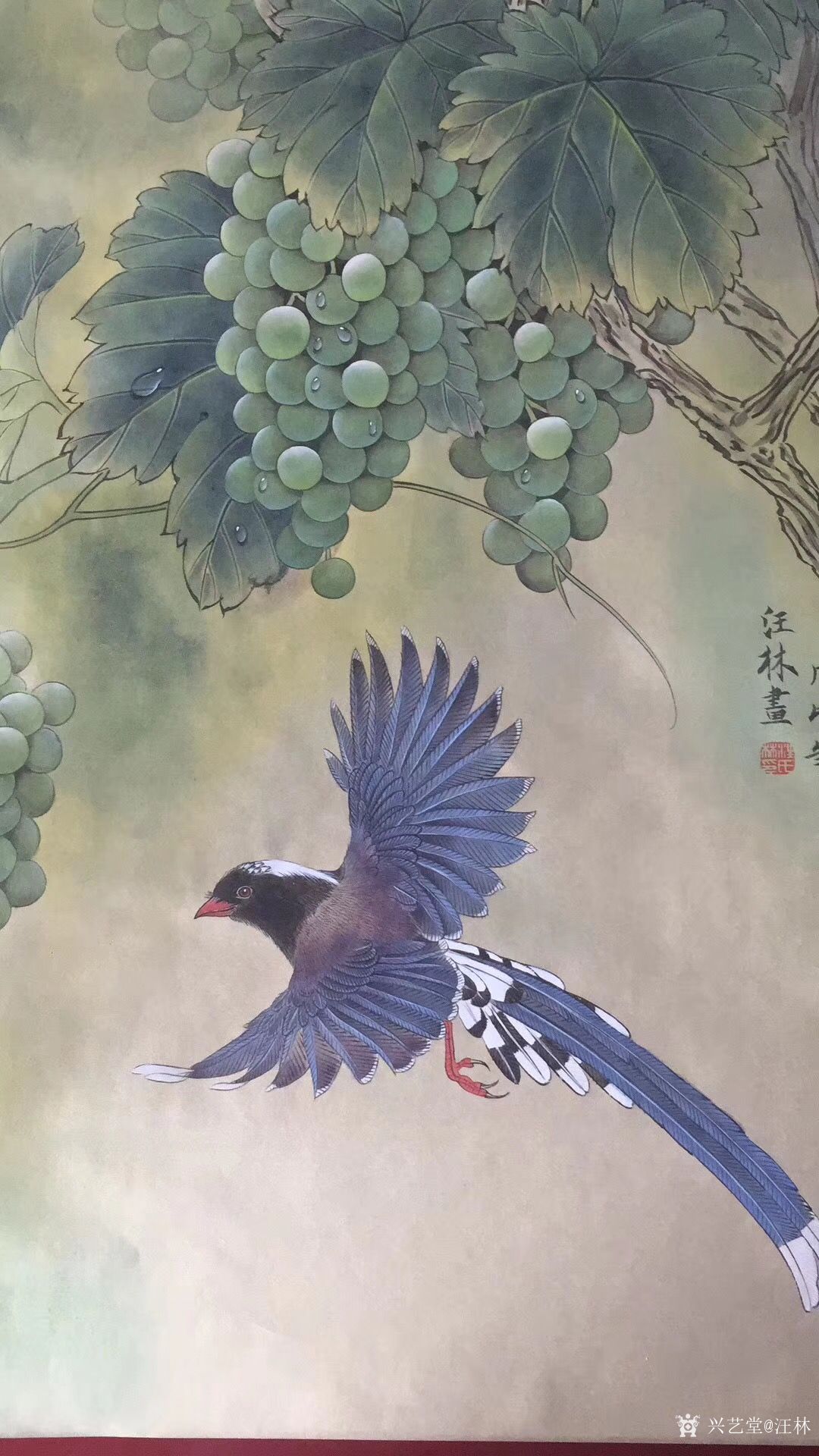 《青葡萄红嘴蓝鹊》工笔花鸟画,请欣赏【图2】