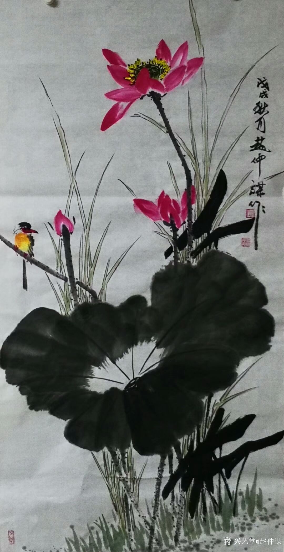 赵仲谋日记-国画花鸟画荷花近作,四尺68x138cm,请欣赏.