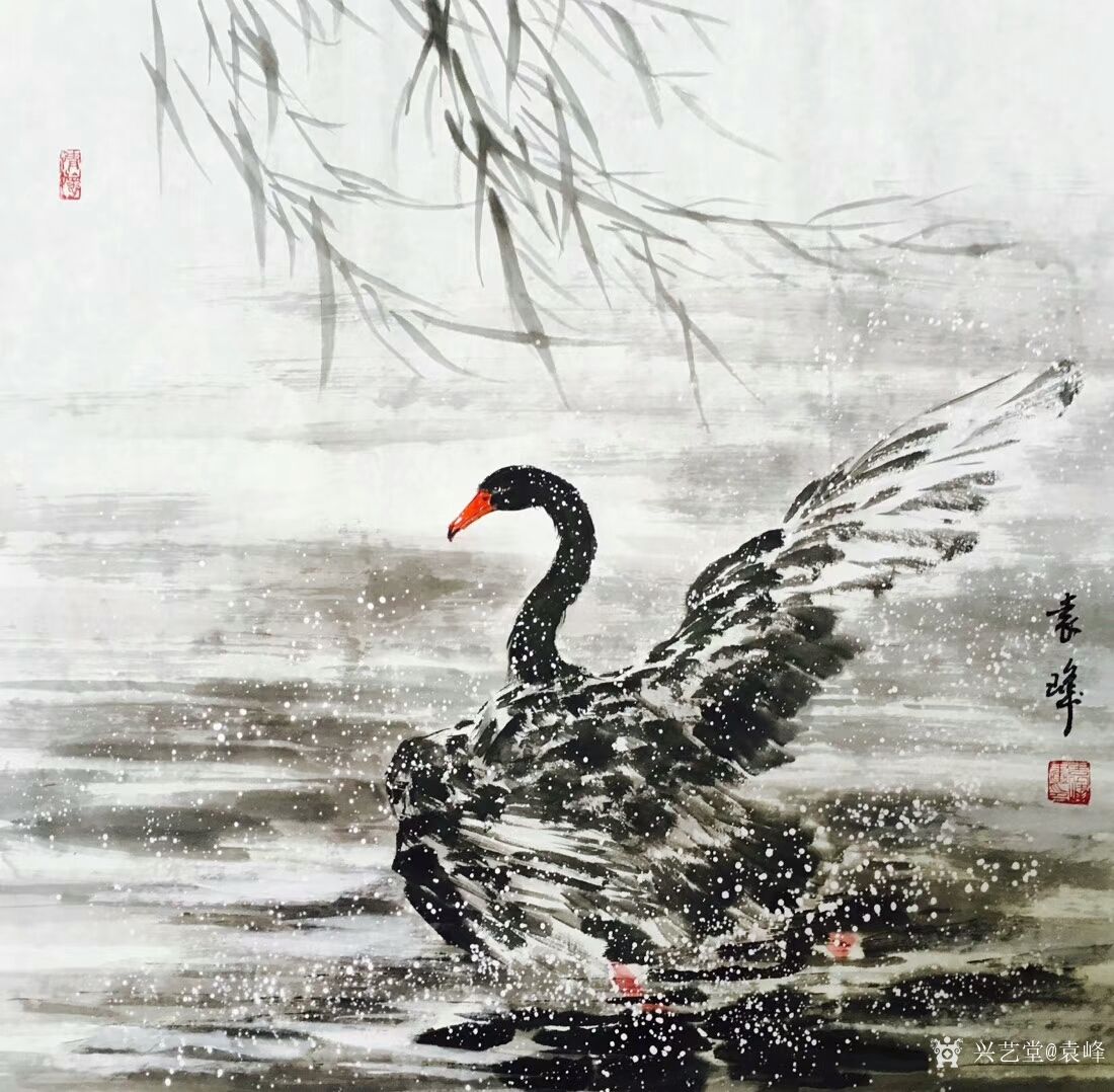 袁峰日记:国画花鸟画《黑天鹅》三幅,尺寸