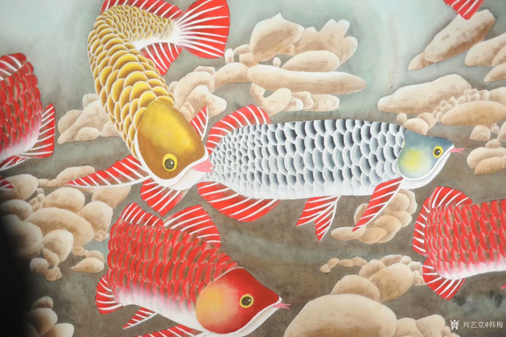 韩梅日记:国画工笔画鱼系列作品《金龙鱼》