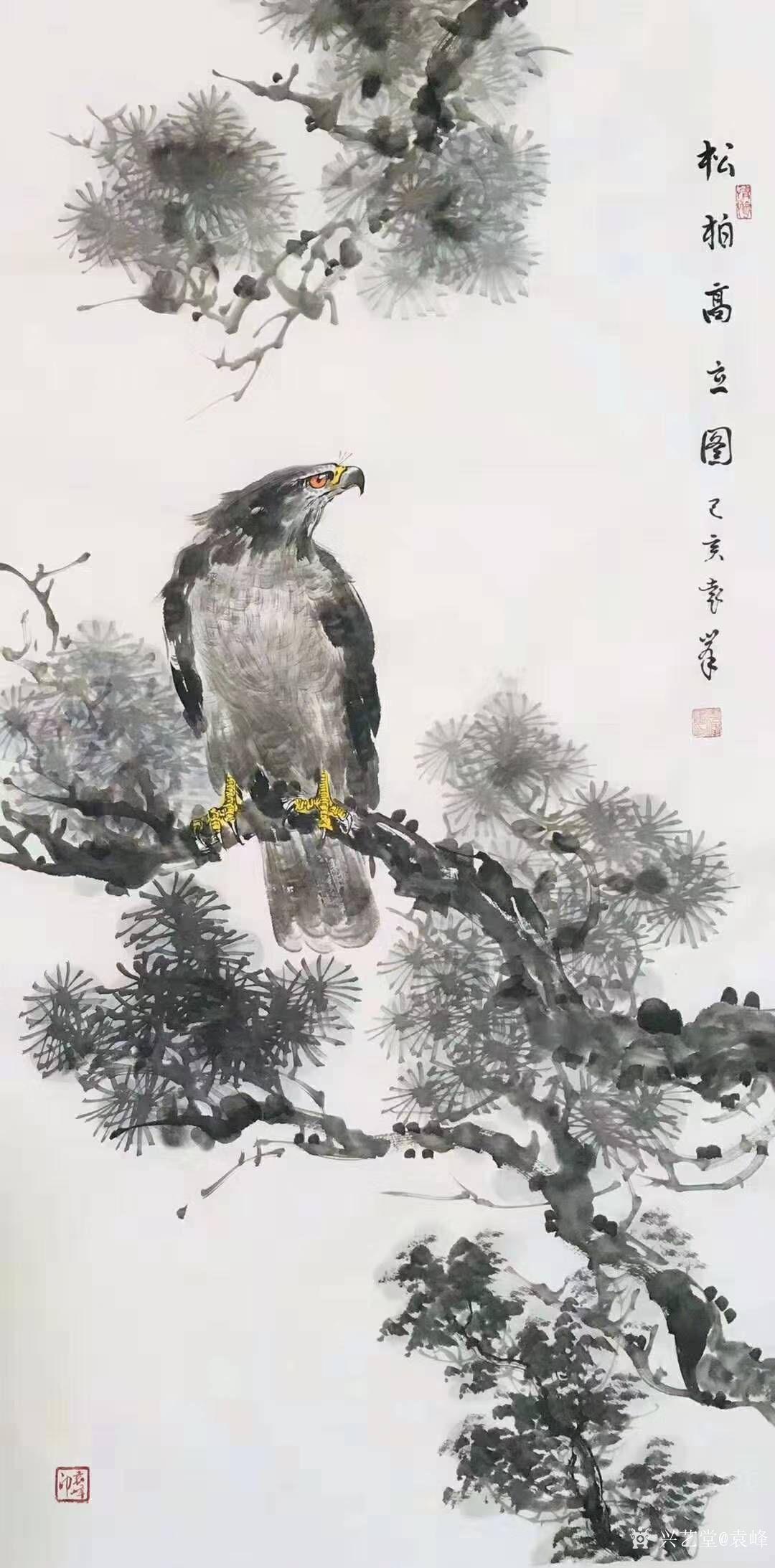 袁峰日记-国画鹰系列《鸿业腾飞》《松柏高立图》《大展宏图》《高瞻