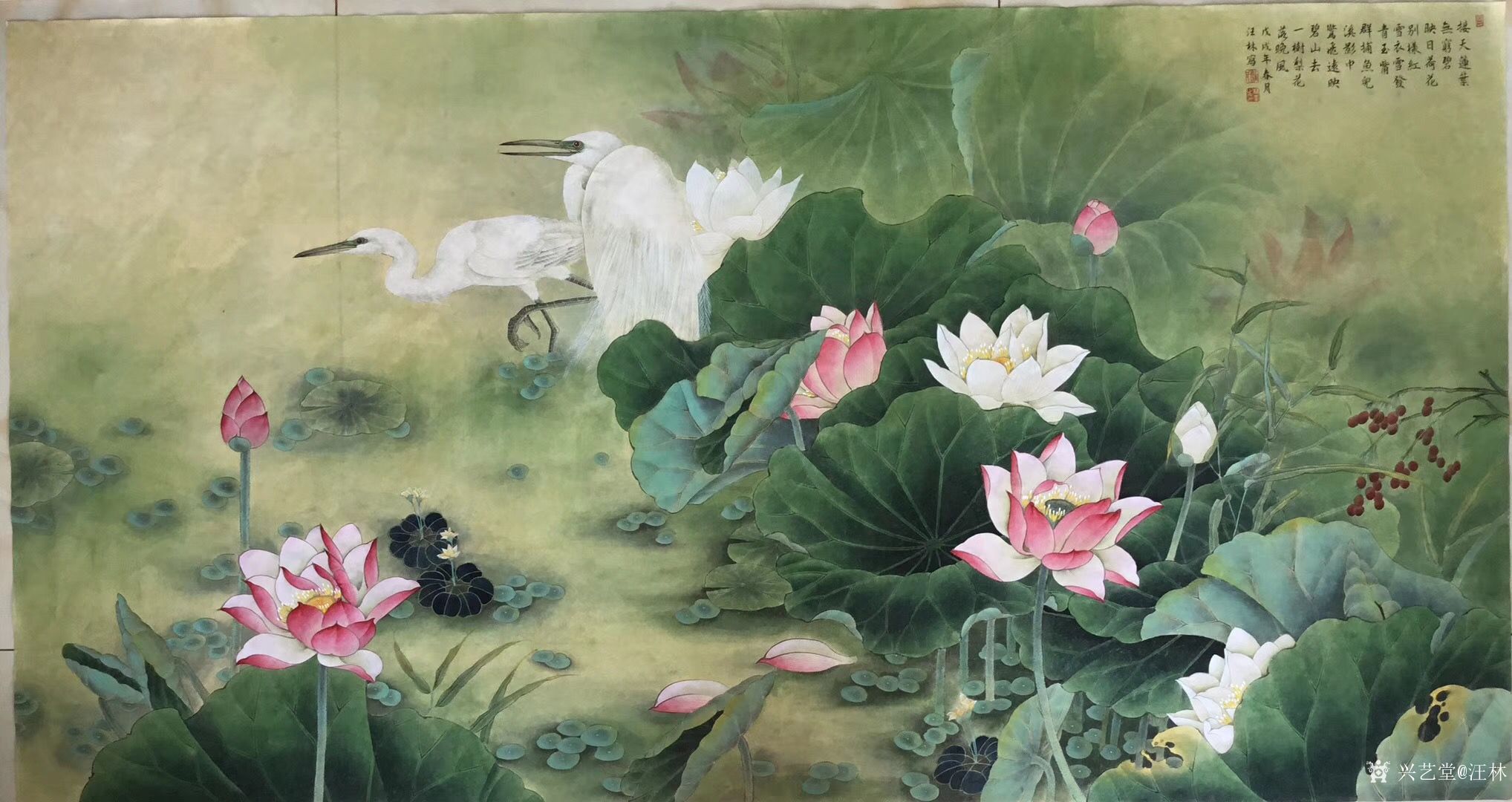 汪林日记:工笔花鸟画《荷塘双鹭,完成