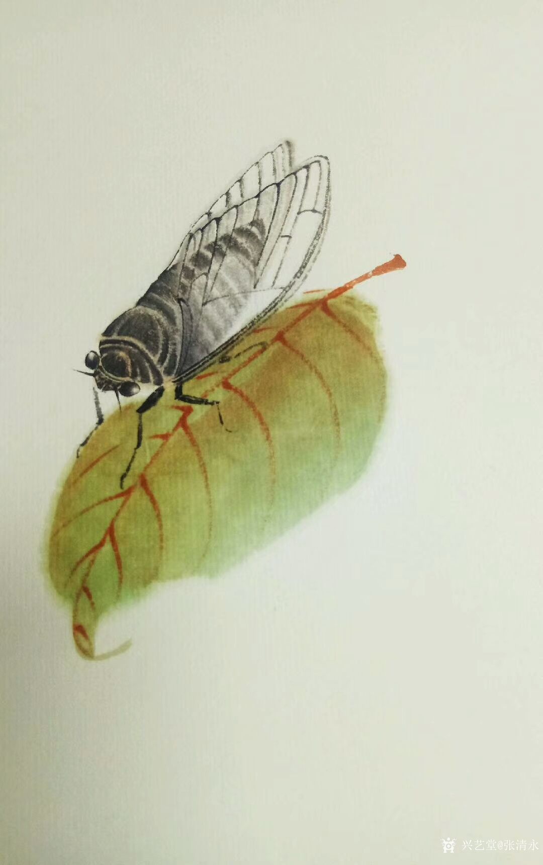 张清永日记:螳螂捕蝉,黄雀在后试试画小动物,扇面《加官图》,请指正