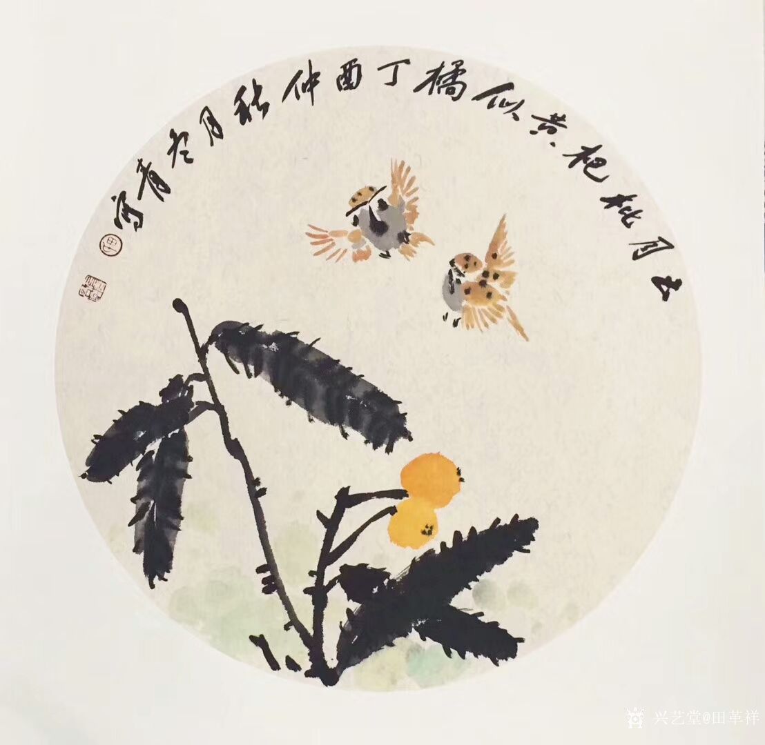 田革祥日记《正月枇杷黄似橘《金风初下菊花黄》国画花鸟画小品一