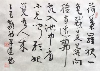 胡文魁日记-胡文魁 行草作品 释文

白居易诗
弄石临溪坐，寻花绕寺行。
时时闻啼鸟【图3】