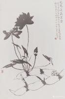 艺术家邹高昆日记:国画花鸟画《又见一池藕花香》
燕京学院曲池， 新种荷花 ，【图0】