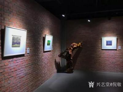 倪敬日记-2017四川成都香迪红馆倪敬水彩画作品展
 “我第一眼在展会上观看倪敬的绘画就【图1】