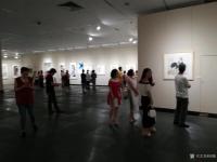 艺术家阎敏收藏:江西美术家八人邀请展，于8月18日下午在珠海古元美术馆隆重开【图4】