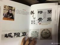 艺术家梅丽琼收藏:由中国言实出版社的《中国现代书画家作品选》在新华书店发行，第【图5】