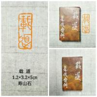 艺术家陈宏洲日记:新制作完成的印章，张海涛雅正，2.5*2.5*8cm，九龙钮【图2】