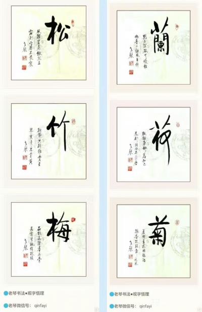 秦发艺日记-与松竹梅交友；择兰荷菊为邻。
松：风摧崖危傲然立，霜打雪压不畏寒。
竹：抱节【图1】