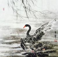 艺术家袁峰日记:国画花鸟画《黑天鹅》三幅，尺寸68x68cm，祝福成双成对，【图0】