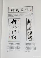 艺术家叶向阳收藏:《柳明诗词》春夏秋冬四季版正式发行。热烈祝贺中国当代著名诗人【图4】