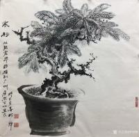 艺术家罗树辉日记:四尺斗方国画《寒杉》 ，去年游张家界，发现到处都是茂盛的寒杉【图0】