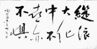 艺术家史介鸿日记:“纵浪大化中，不喜亦不惧”——语出陶渊明《形影神》组诗。此句【图0】