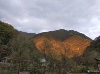 艺术家郑诚生活:秦岭终南山采风写生继续进行中……深秋写生虽有一丝寒意，但有可【图1】