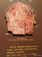 艺术家杨牧青日记:杨牧青：参观国博“证古泽今·甲骨文文化展”随记
深秋的黄金【图1】