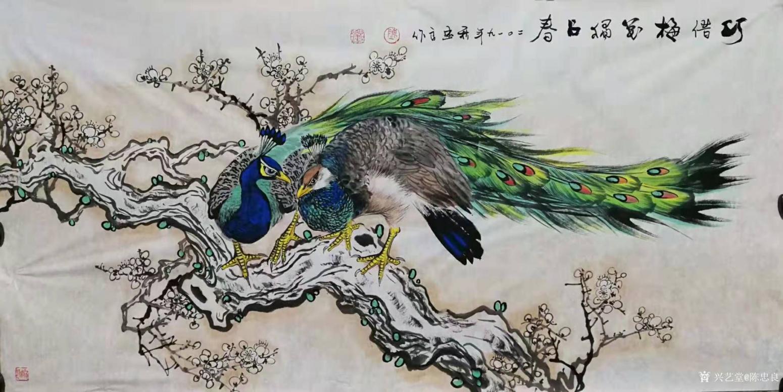 陈忠良国画作品《孔雀-巧借梅花独占春》