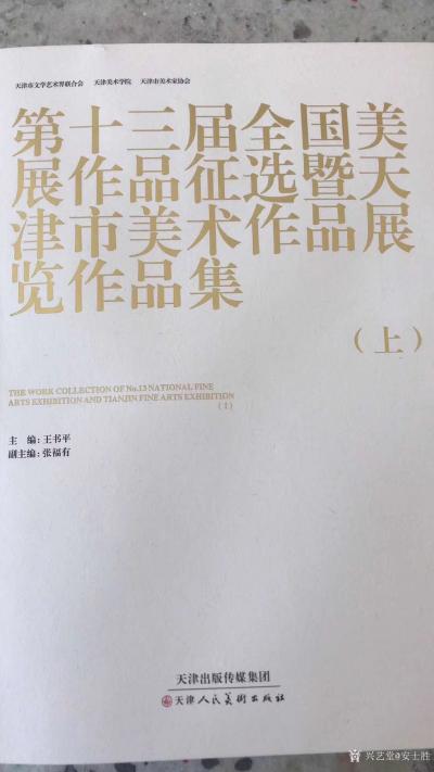 安士胜荣誉-去年的展览第十三届全国美术作品征选暨天津市美术作品展览，今天拿到证书。西青这几位【图1】