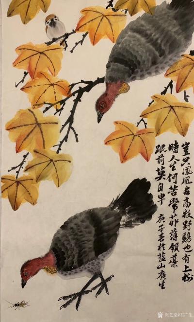 石广生日记-国画花鸟画《岂只凤凰占高枝》
  深山避疫，多见山鸡，时人称吐火鸡。因此鸡据闻【图1】