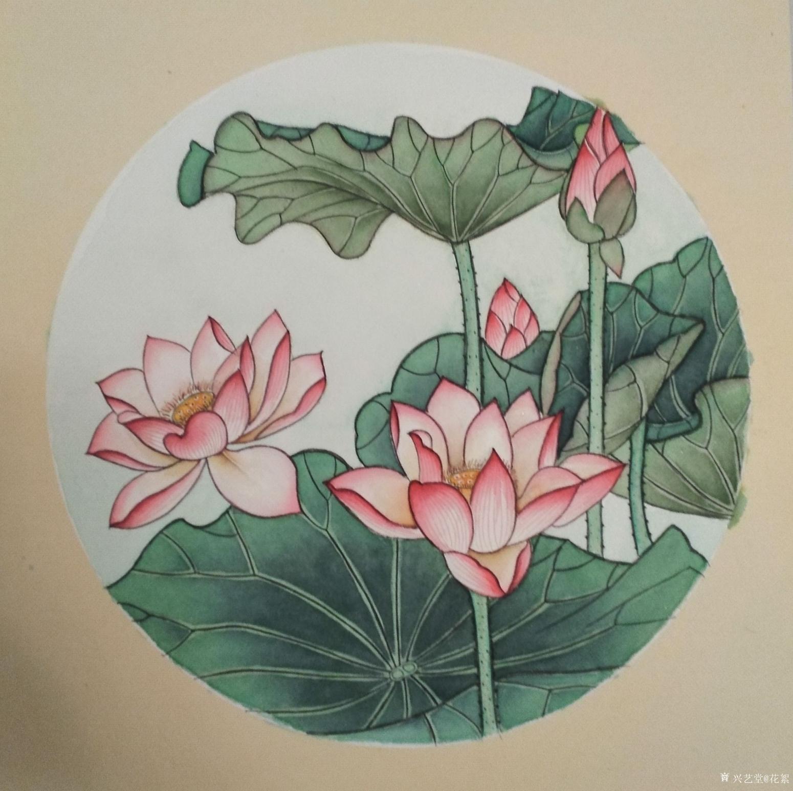 花絮国画作品《工笔画荷花》