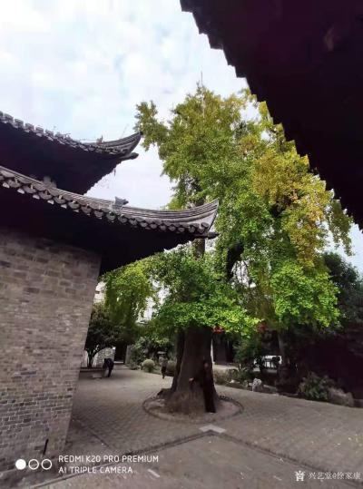 徐家康收藏-扬州八怪纪念馆之所以选择位于驼铃巷的西方寺，只因后院是金农晚年寄居之所。70岁后【图2】