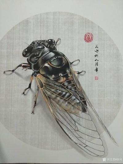 谷风日记-国画动物工笔画《知了》，偶得一知了，观之画之。庚子年秋月谷风画於如陌斋。【图2】