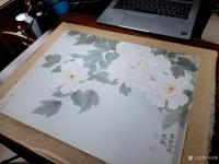 艺术家马晓薇日记:花卉写生工笔画牡丹十二品——赵粉，网课示范作品。【图1】