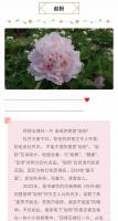 艺术家马晓薇日记:花卉写生工笔画牡丹十二品——赵粉，网课示范作品。【图3】