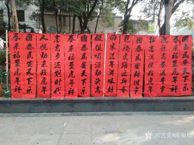 陈祖松日记-迎虎年春联
国泰民安天下乐，春来福至虎年祥。【图1】