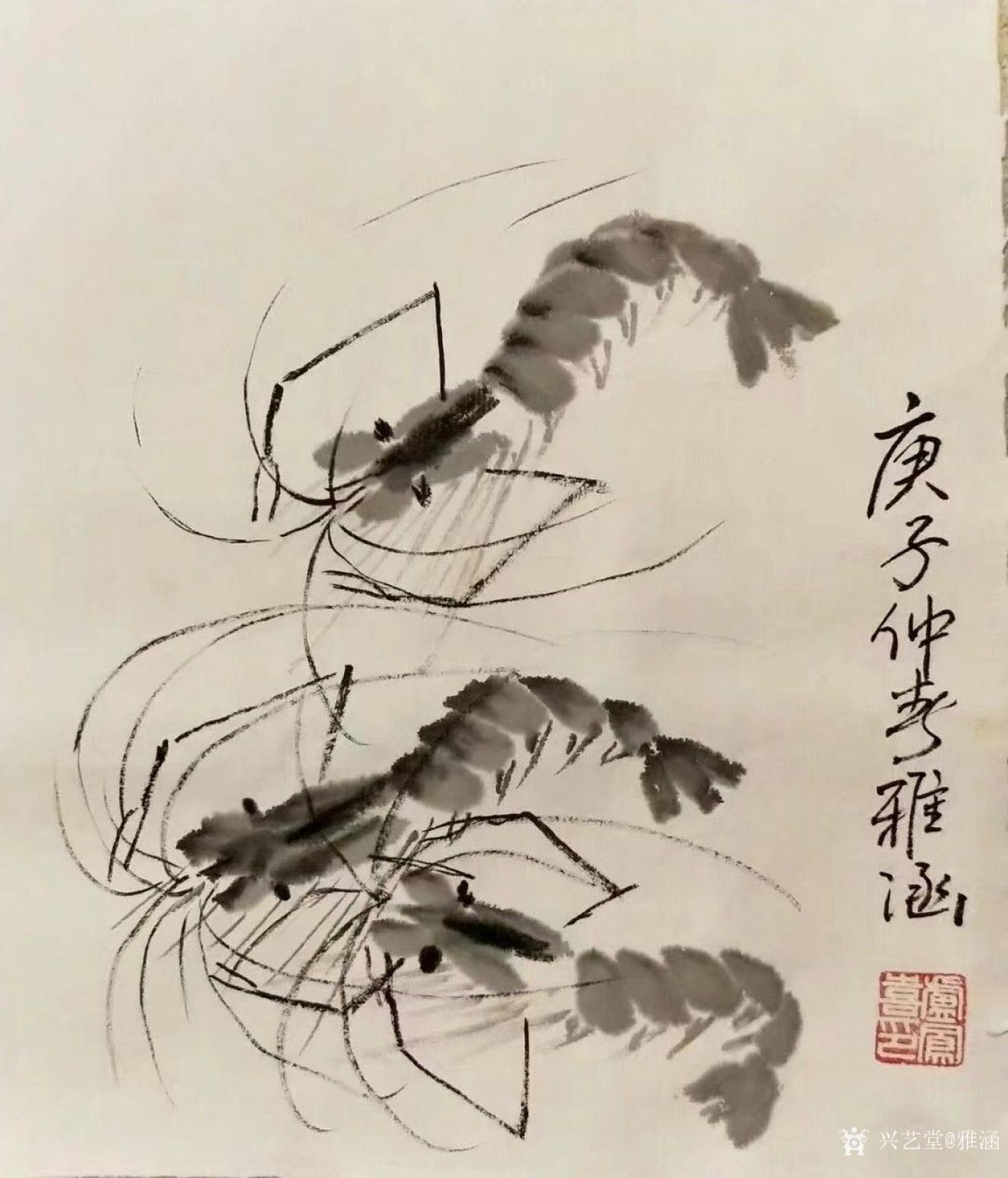 雅涵一一主人凤喜国画作品《虾》