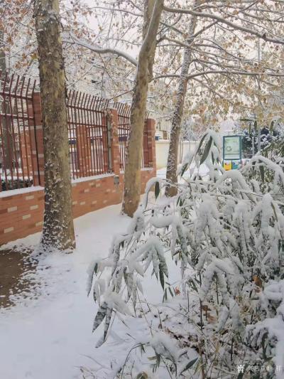 马一祥日记-好开心，终于降雪啦！个别媒体说咱们冬奥没有天然雪，作为国人，心里多少有点郁闷，你【图2】