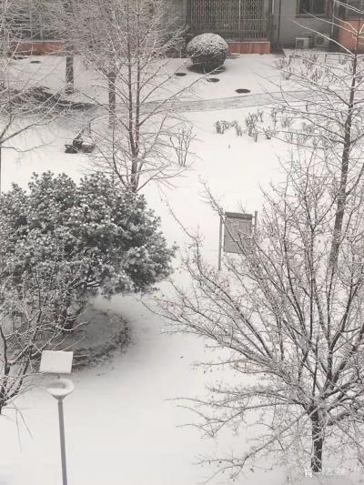 马一祥日记-好开心，终于降雪啦！个别媒体说咱们冬奥没有天然雪，作为国人，心里多少有点郁闷，你【图3】