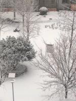 艺术家马一祥日记:好开心，终于降雪啦！个别媒体说咱们冬奥没有天然雪，作为国人，【图2】