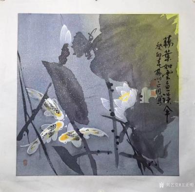 王正明日记-国画彩墨画荷花系列作品《池中锦鲤戏莲蓬》《藕叶如云鱼误伞》65X65，葵卯年春扬【图3】